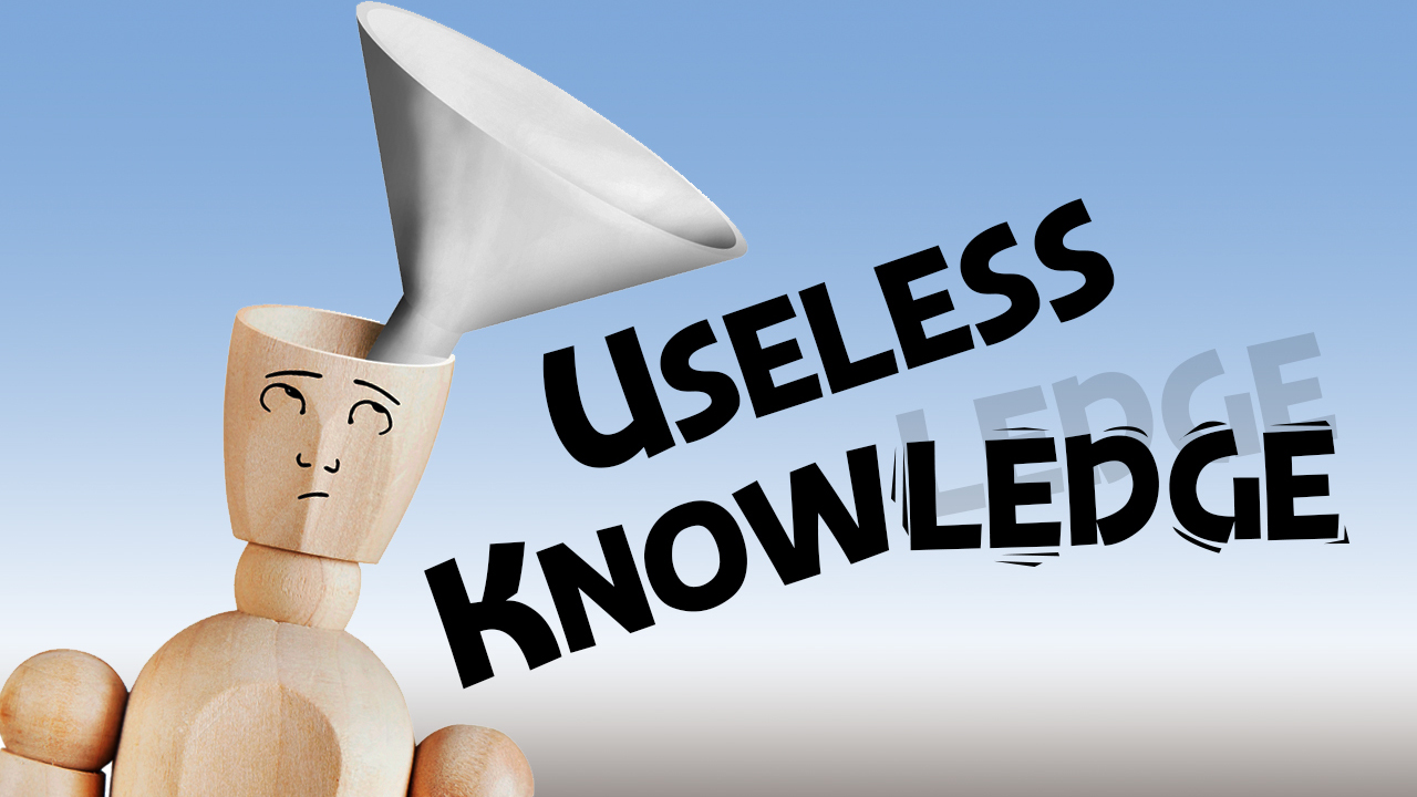 How to Impress Your Friends with Completely Useless Knowledge hero image