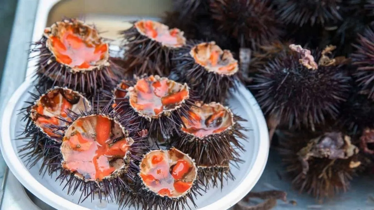 10 Bizarre Foods You Didn’t Know Were Consumed in History hero image