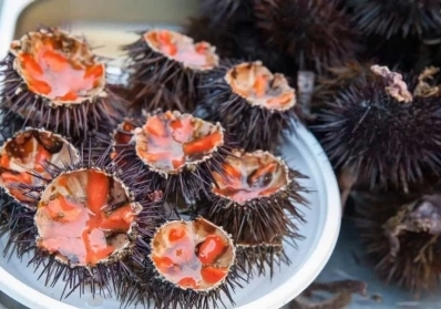 10 Bizarre Foods You Didn’t Know Were Consumed in History image sidebar