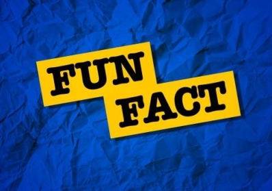 Joke and Fact Combo Packages service image