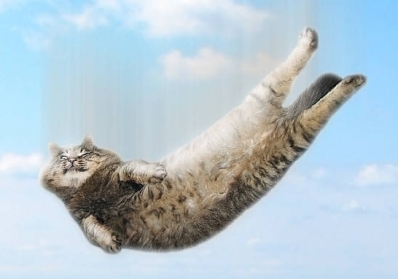 Corporate Team Building with Useless Facts service image